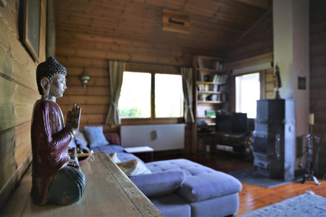 바트 뮌스터아이펠 Norwegisches Blockhaus 빌라 외부 사진